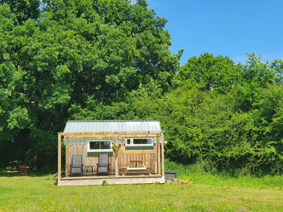 Dartmoor Reach Alpaca Farm Heated Cabins 5 Mins Drive To Dartmoor Bovey Tracey Εξωτερικό φωτογραφία