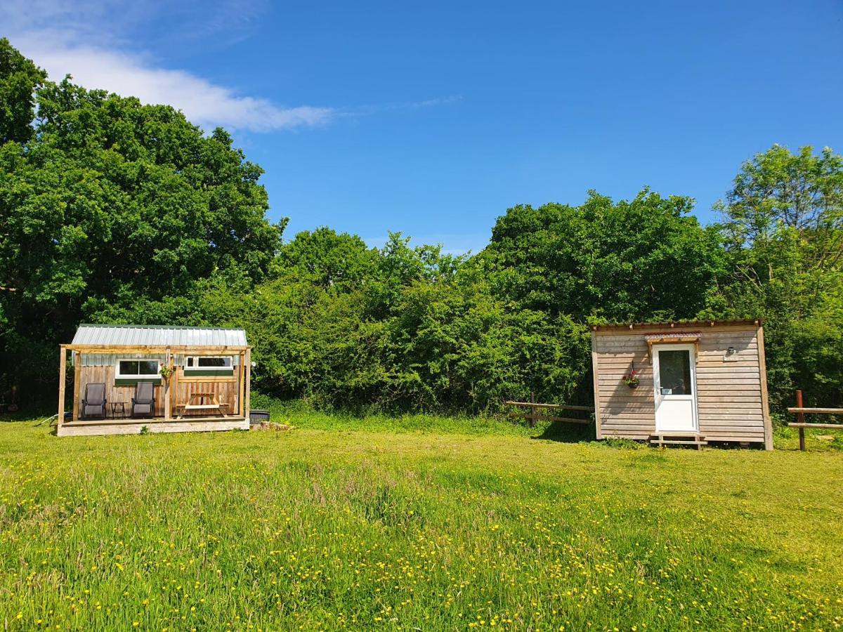 Dartmoor Reach Alpaca Farm Heated Cabins 5 Mins Drive To Dartmoor Bovey Tracey Εξωτερικό φωτογραφία