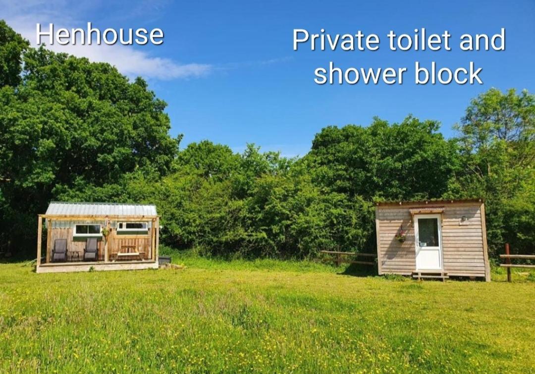 Dartmoor Reach Alpaca Farm Heated Cabins 5 Mins Drive To Dartmoor Bovey Tracey Δωμάτιο φωτογραφία
