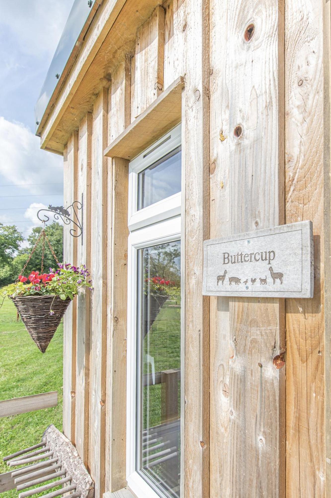 Dartmoor Reach Alpaca Farm Heated Cabins 5 Mins Drive To Dartmoor Bovey Tracey Δωμάτιο φωτογραφία